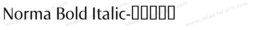 Norma Bold Italic字体转换